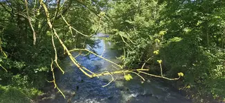 IMG-20260525-WA0002.webp