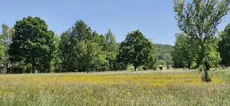 IMG-20260525-WA0006.webp