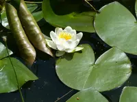 P1030204.webp
