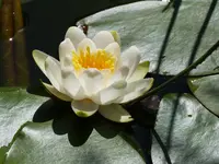 P1030205.webp