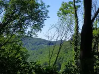 IMG_20260525_150510.webp