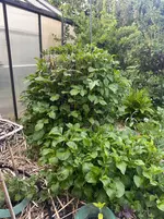 IMG_6831.webp IMG_6831.webp