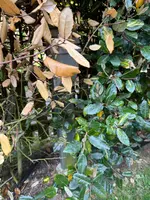 IMG_9459.webp