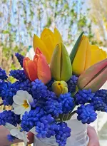 20260406_155751.webp