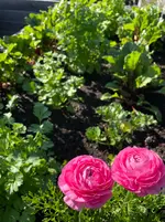 IMG_9988.webp