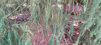 1000001299.webp