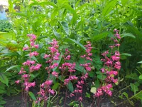 IMG_20260527_195625.webp