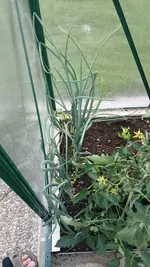 20260528_202220.webp