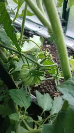 20260529_194416.webp