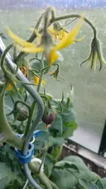 20260529_194459.webp