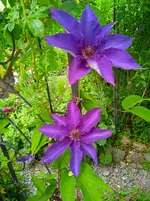 IMG_20260530_071558_1.webp