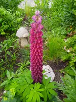 IMG_20260530_071624.webp