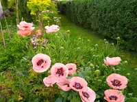 IMG_20260530_071920_1.webp