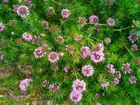 IMG_20260530_072106.webp