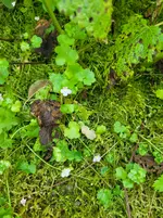 20260530_110143.webp