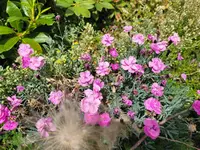 20260530_110405.webp