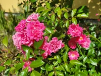 20260530_110421.webp