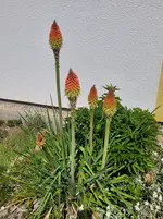 20260530_110446.webp