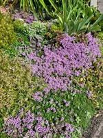 20260530_110451.webp