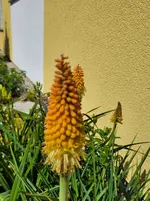 20260530_110520.webp