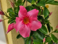20260530_110538.webp