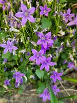 20260530_110718.webp