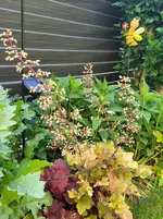 20260530_110740.webp