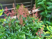 20260530_110800.webp