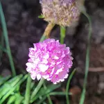20260530_110838.webp