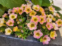 20260530_111055.webp