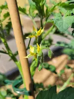 20260530_110232.webp