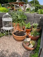 IMG_0167.webp