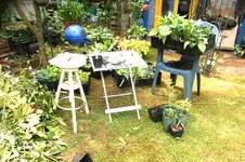 DSC01236.webp