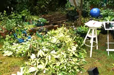 DSC01235.webp