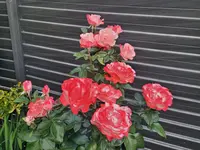 20230613_211427.webp