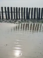 20260530_182638.webp
