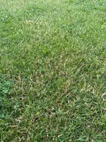 IMG_0195.webp