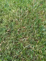 IMG_0196.webp
