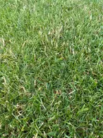 IMG_0197.webp