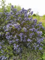 IMG_20260531_161048.webp