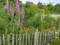 IMG_20260531_161025.webp
