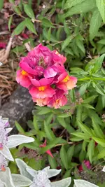 IMG_8660.webp