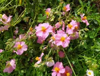 IMG_20260601_105304.webp