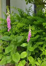 IMG_20260601_104316.webp