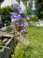 IMG_0270.webp