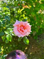 c94d5e8a-1dfb-4838-8ec9-5b54d53d2640.webp