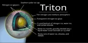 (6) Triton.webp