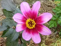 9.webp