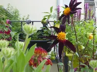 004.webp