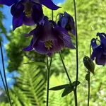 Bild.webp